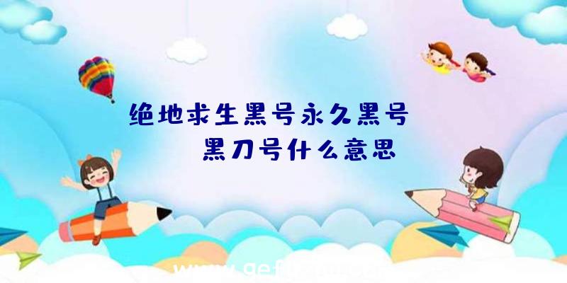 「绝地求生黑号永久黑号」|pubg黑刀号什么意思